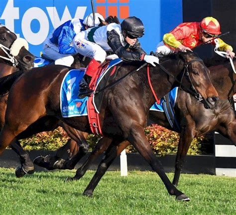 King Charles III Stakes Preview, Tips, Runners & Trends .